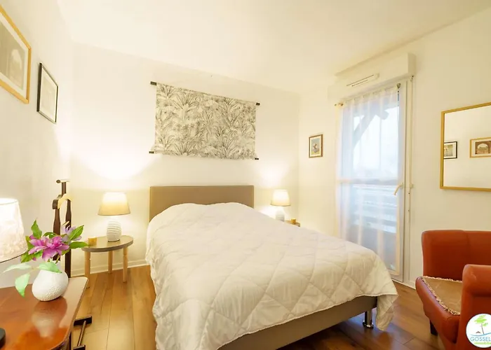 Bourg T3 En Centre * Biscarrosse