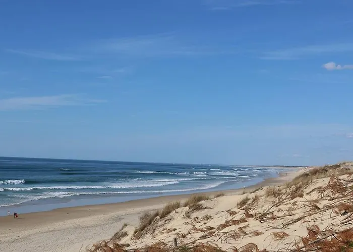 Bourg T3 En Centre *