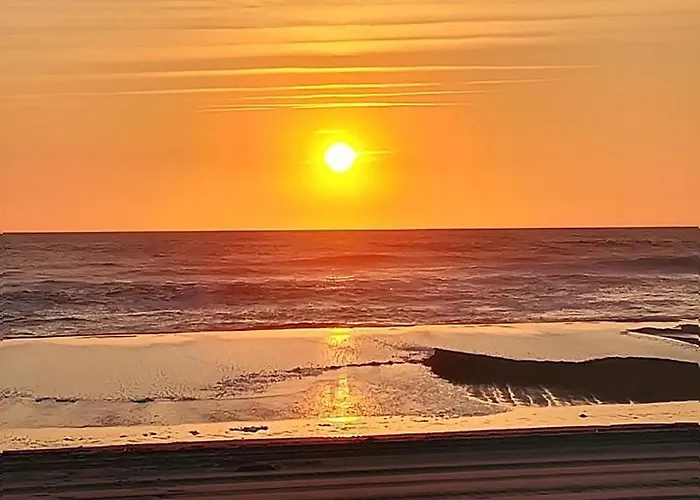 Bourg T3 En Centre Lejlighed Biscarrosse