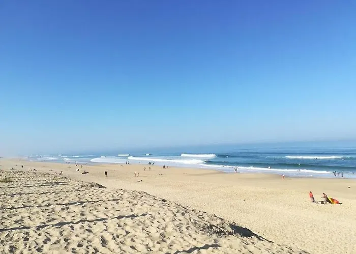 Bourg T3 En Centre Lejlighed