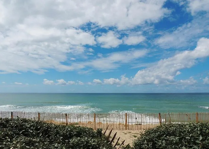 Bourg T3 En Centre Lejlighed Biscarrosse